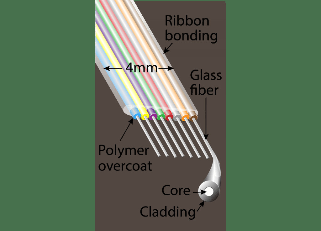 10 Gb/S Ribbon Optical Fiber Single Mode / Multimode 12 Fiber Ribbon Cable